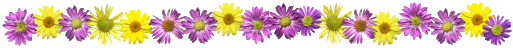 divisorio