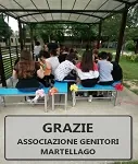 Ringraziamenti