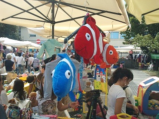 foto 15
