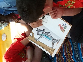 foto 10